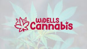 THCA flower dispensary near Wisconsin Dells - WiDells Cannabis