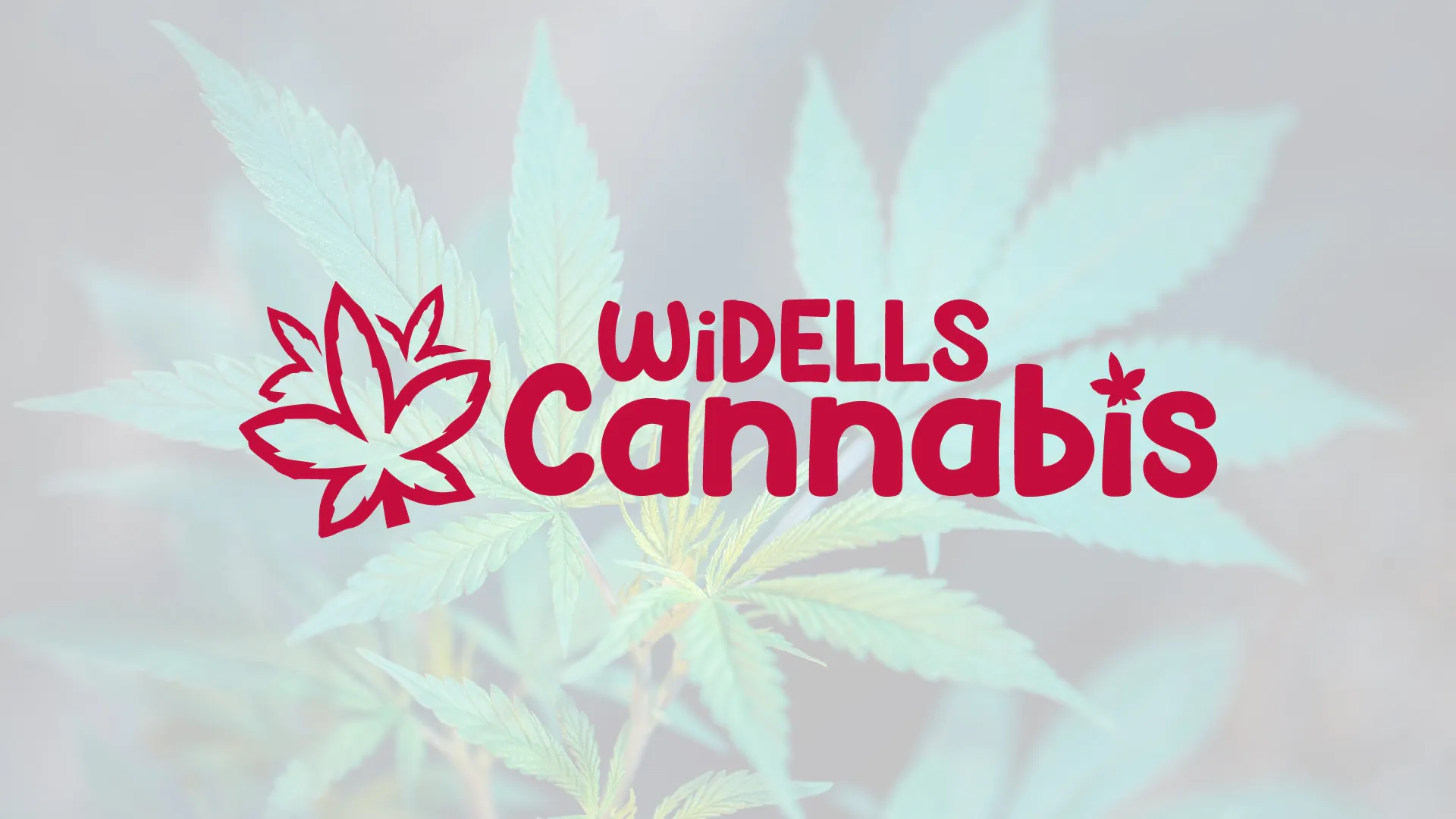 Dispensary WI Dells WI Dells THC Delivery